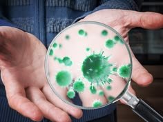 Germ Theory Arrives