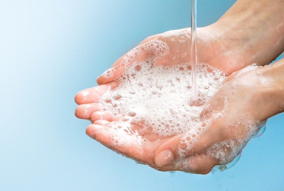 Why Soap and Water Actually Works