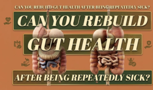 Can You Rebuild Gut Health After Being Repeatedly Sick?