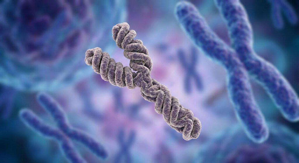 Men Losing Y Chromosome With Age